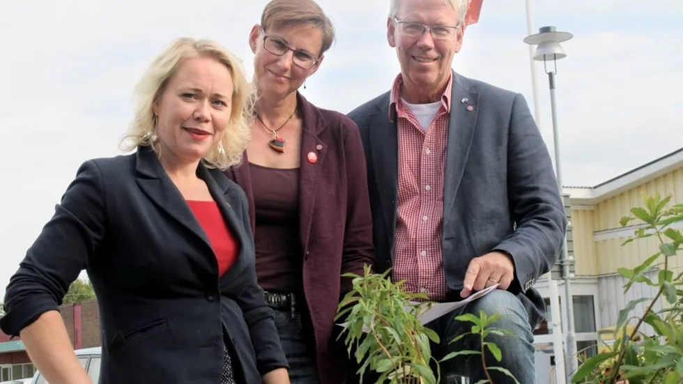 Socialdemokraternas ordförande i Piteå, Hanna Bergstedt samt kommunalråden Helena Stenberg och Peter Roslund, tror stenhårt på att skapa centrum ute på landsbygden är rätt väg för utveckling av densamma.