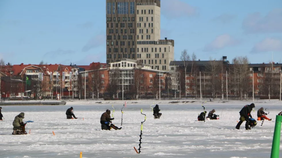 SM i mormyska anordnas snart för andra gången i Piteå och arrangören vädjar till Piteåborna att inte fiska i Sörfjärden och Nördfjärden fram till dess. (Arkivbild)