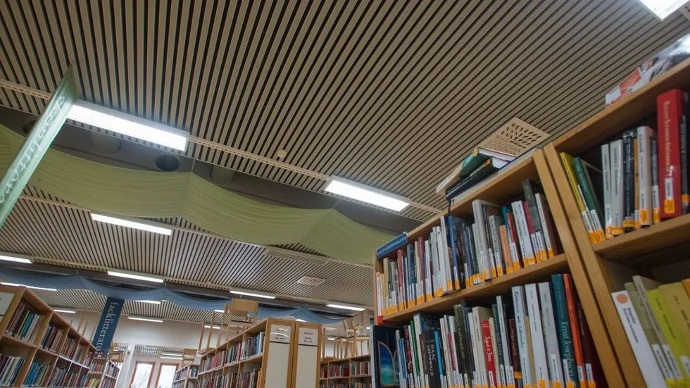 Fastighets- och serviceförvaltningen äskar 12 miljoner kronor för att åtgårda taket i stadsbiblioteket.