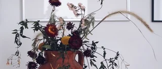 Baksidan av min blomsterkonsumtion