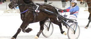 Det blev Grand Slam på Bodentravet