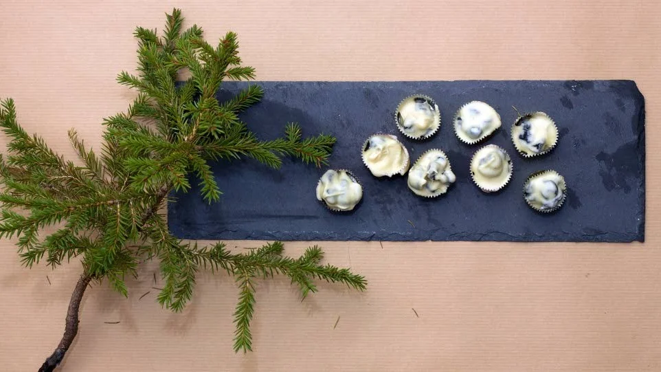 Vita chokladpraliner med svarta vinbär.