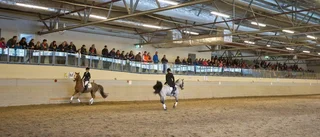 Många brister i ridhuset