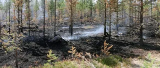 Ingen spridningsrisk vid Lapmoberget