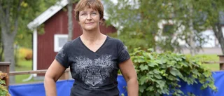 Blygsamma förändringar i Arjeplogs politik