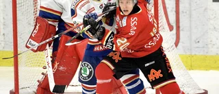 Svaret som Piteå Hockey väntat på