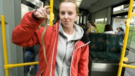 Passageraren Sabina De Mhern visar upp den gula majsorm, som igår kom ringlande på golvet inne på en spårvagn. Foto: Robert Svensson