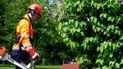 Att få möjlighet att sommarjobba är en del i varje ungdoms mognadsprocess.