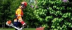 Alla borde få ett sommarjobb