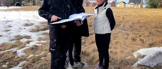 Här planeras nya kolonilotter