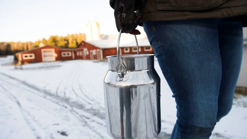 Småskaligt. Trenden med mikromejerier har nått länet. Ett mejeri är redan på gång i en annan kommun, och i Bertnäs har mjölkbonden Bengt Andersson sökt bygglov för ett gårdsmejeri. (Arkivbild)