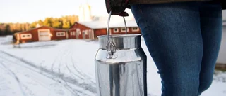 Söker bygglov för gårdsmejeri