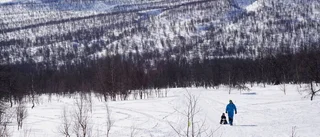 Lugn påsk i Arjeplogsfjällen