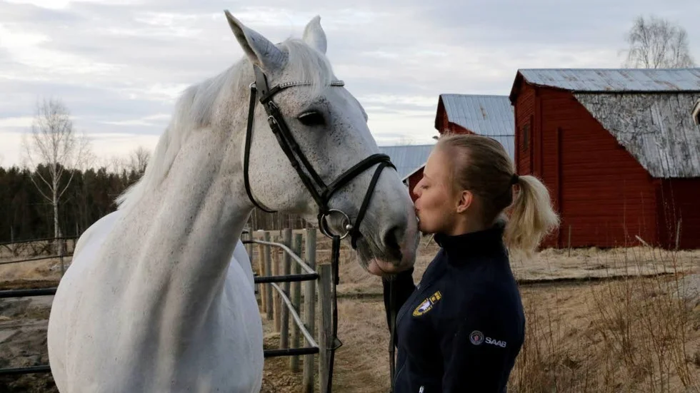 PUSS. Wilma Marklund, Piteå RK, pussar Concensso Corte. De lyckades bra i Tyskland. (arkivbild)