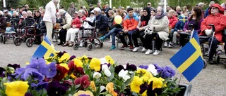 Nya Pitebor ska firas på nationaldagen