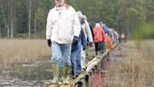 Landshövding Björn Eriksson invigde på torsdagseftermiddagen - i regnet - Fjällmossens naturreservat i norra delen av Kolmården. 
FOTO: ROBERT SVENSSON