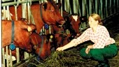 Nummer 313 är en av Jessica Göranssons favoritkor.  Jag skulle inte kunna tänka mig att sitta på ett kontor. Jag vill vara på landet, säger Jessica.
FOTO: GUNNAR JOAHSSON