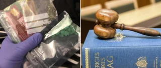 32-åring stoppades i Skåne – skulle till Gotland för att sälja droger • Hade vapen i bilen