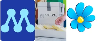 Så röstade eleverna i din kommun • Majoritet för M+SD på flera håll