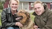 Lisbeth och Mats Stengård är nyblivna ägare till den upphittade hunden Knubbe, som bott på Norrköpings Hundcenter sedan han hittades i närheten av Östra Ryd.	
FOTO: ANITA KJELLBERG