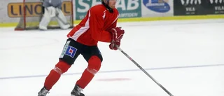 Vita Hästens back till sjukhus