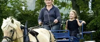 Flera generationers regnbågar