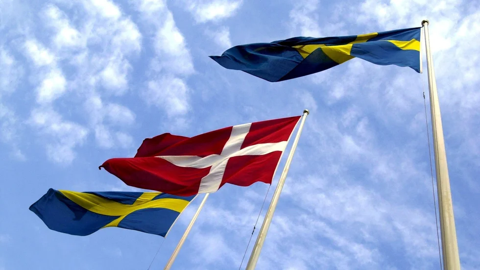 I alla internationella mätningar av demokratin i världen sticker de nordiska länderna ut som bäst i klassen. Vi har den starkaste demokratin här. Vi har något vi måste vara rädda om.