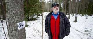 Skoteråkare förstör plantering