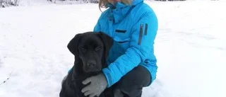 Claudia leder hundprogram