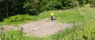 Firade midsommar utan snö
