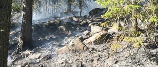 Eldningsförbud i Arvidsjaur men inte i Piteå