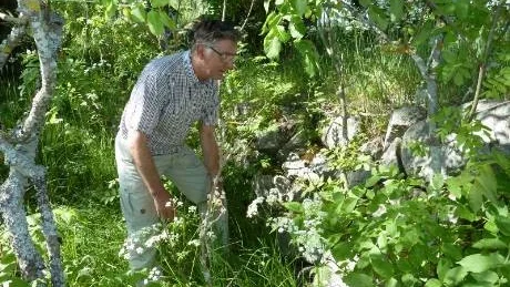 - Här syns stenarna efter en av de källare som tillhörde Broby, säger Curt Andersson när han kolla efter lämningar från den försvunna byn.