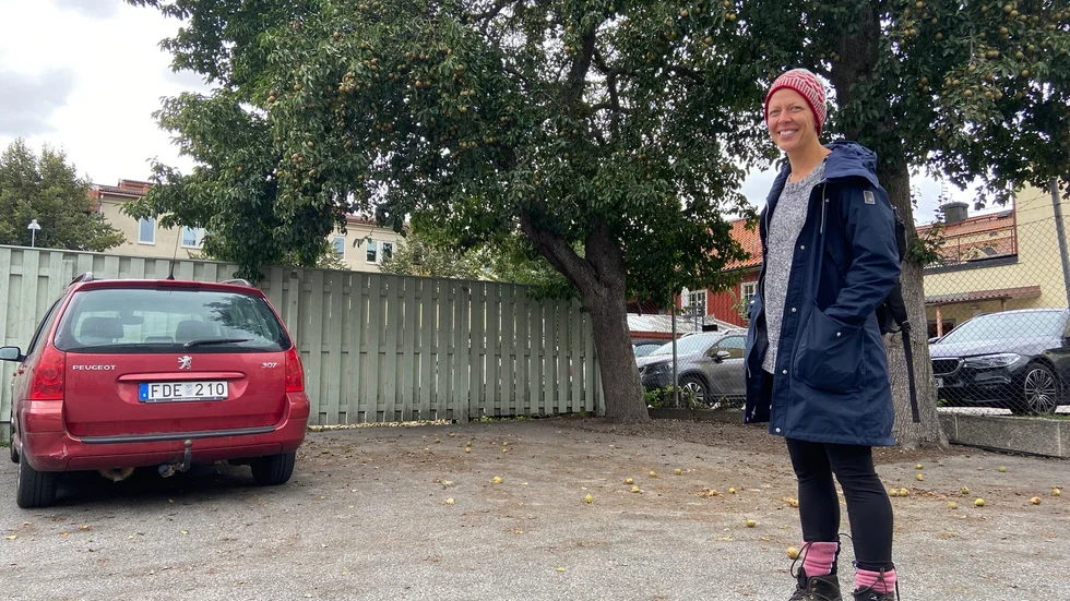 Bettnabon Maria Cole behöver inte plocka av de kommunala fruktträden, hon har tillgång till frukt ändå. Hon tycker att det är toppen att det finns kommunal frukt och hoppas att den hamnar i skolköken, om den är giftfri.