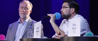 Därför bör Liberalerna ändå ingå i regeringen