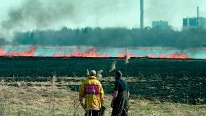 Cirka 20.000 kvadratmeter vass brändes av vid en större brand norr om Händelö vid Kardonbron igår.
Foto: Anita Kjellberg (011-200 462)
anita.kjellberg@folkbladet.se