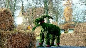 En praktfull julbock mitt i smällvarma november. Emelie Gustafsson