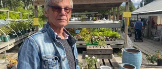 Efter 100 år – Landqvist Handelsträdgård går i graven: "Orkar inte mer"