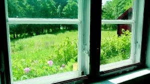 Familjen har under tio års tid haft över 20 inbrott i sitt fritidshus i Hävlatrakten. De har haft funderingar på att sälja, men trivs för bra i området. Istället vill de att polisen agerar. 
Foto: Carolina Häggkvist