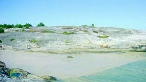 Det är ovanligt varmt längs ostkustens stränder just nu, vilket bäddar för en ny alg-sommar. Kanske som på bilden från juli 2005. Foto: Arne Lindh