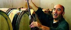 Härliga Rhôneviner 
bland nyheterna