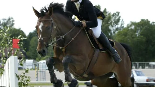 Mantorpryttarnas Camilla Nensen gjorde tävlingsdebut på stor häst i går. Fyra starter gav en andraplacering och en tredje. Med beröm godkänt alltså. I 1,20-hoppningen blev det dock ett nedslag med Pic-Pic, men Camilla var glad ändå.  Jag är hur nöjd som helst, strålade hon.