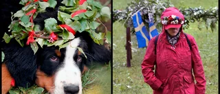 Väder: Har vi sett allt regn nu?