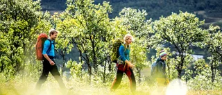 Bästa tipsen för fjällvandring med barn