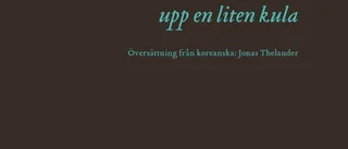Koreansk kultbok på svenska
