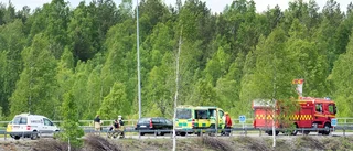 Krock i Luleå ? varning för köer