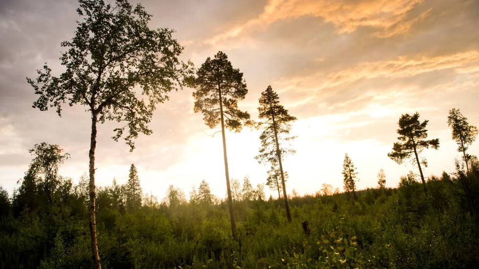 TORNEDALEN. Den trolska naturen är något många kopplar samman med Tornedalen.