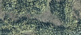 Ägarbyte för lantbruksfastighet i Kangos