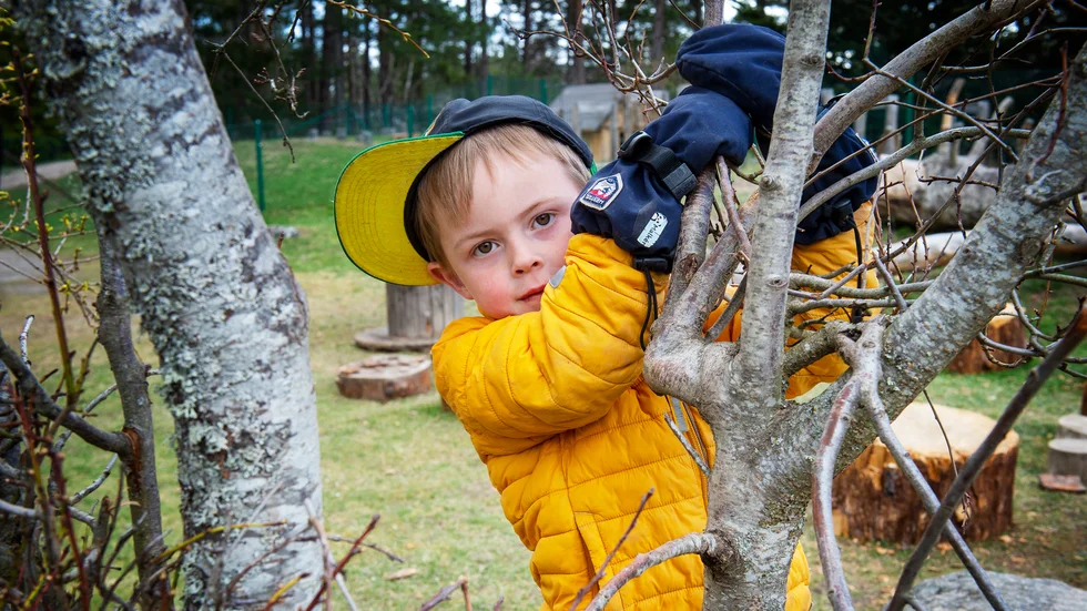"Det är roligt", säger Frej Malkén, 4, om att vara utomhus och klättra i träd.