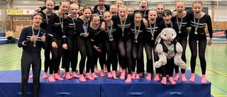 Dubbla framgångar för Visbygymnasterna: ”Fantastiskt”