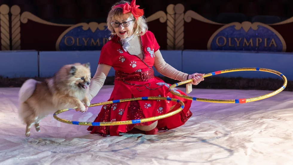 Henrika Bengtsson är vd för Cirkus Olympia. 